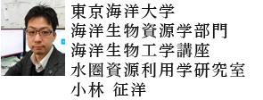 東京海洋大学 海洋生物資源学部門 海洋生物工学講座 水圏資源利用学研究室 小林 征洋