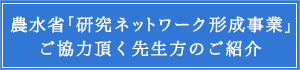 先生方のご紹介